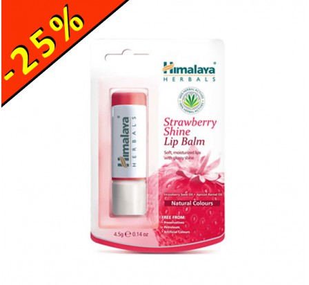 HIMALAYA stick à lèvres protecteur fraise 4,5gr